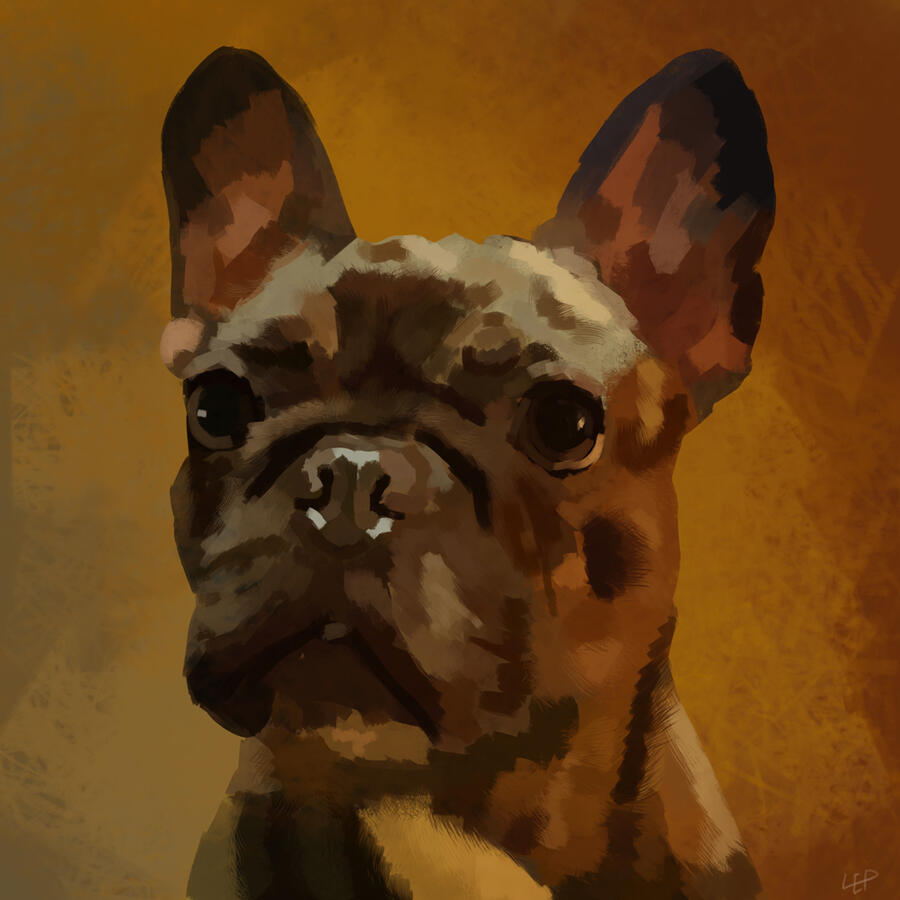 "Bella" (Pet Portrait)