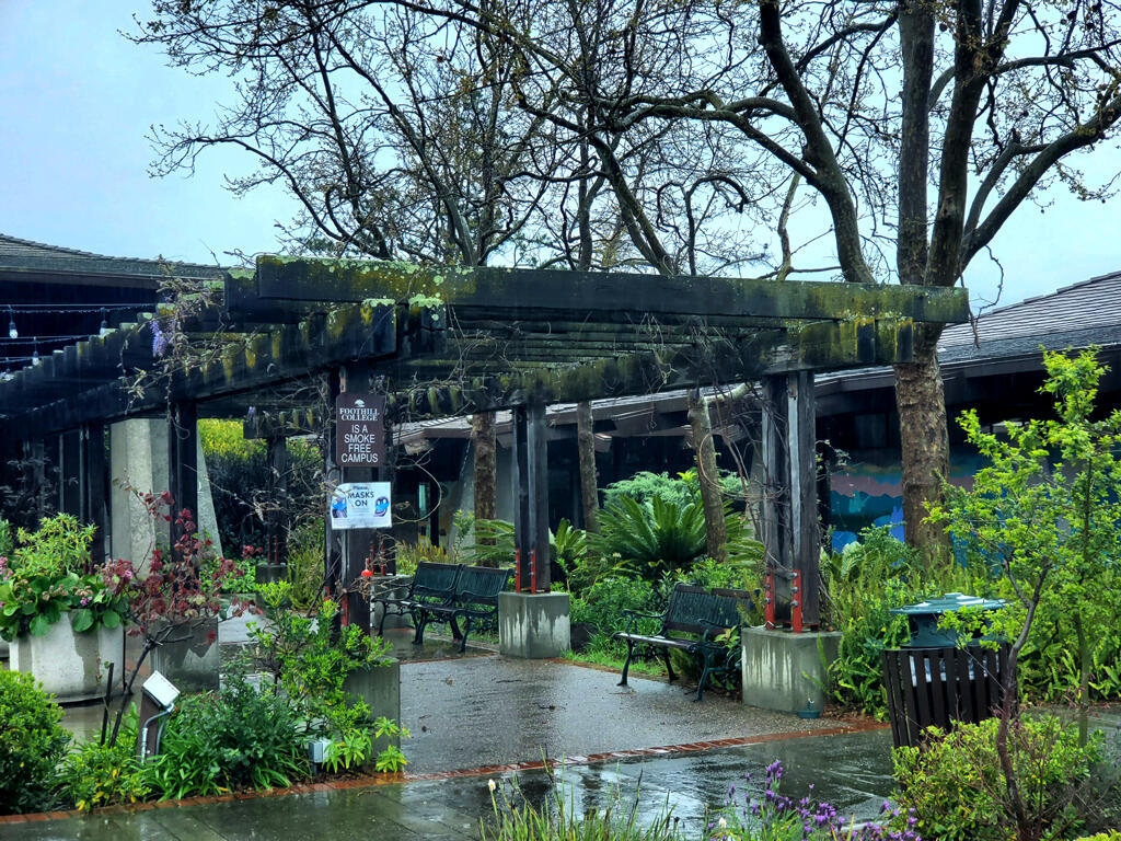 Overgrowth (Personal)