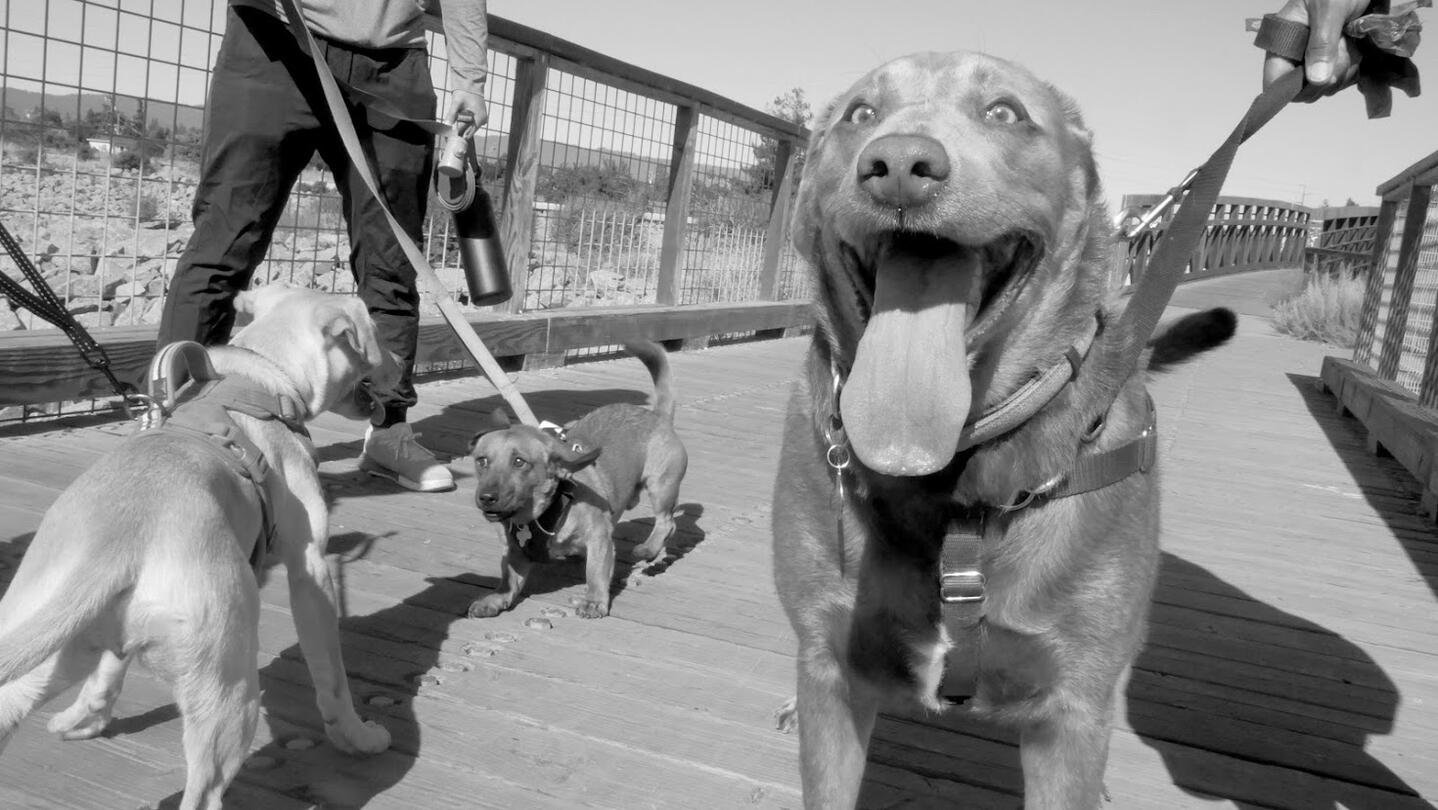 Goofy Cubed (Personal)